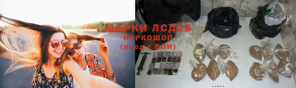 mix Щигры