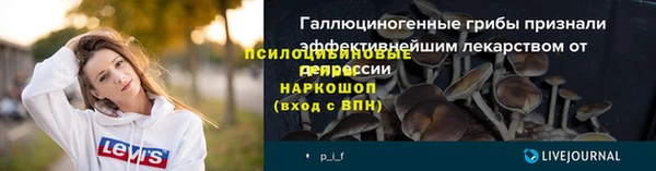 ешки Магас