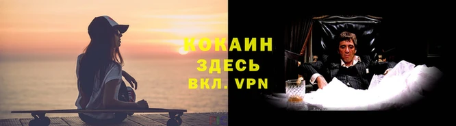 дмт Архангельск