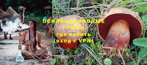 дживик Магадан